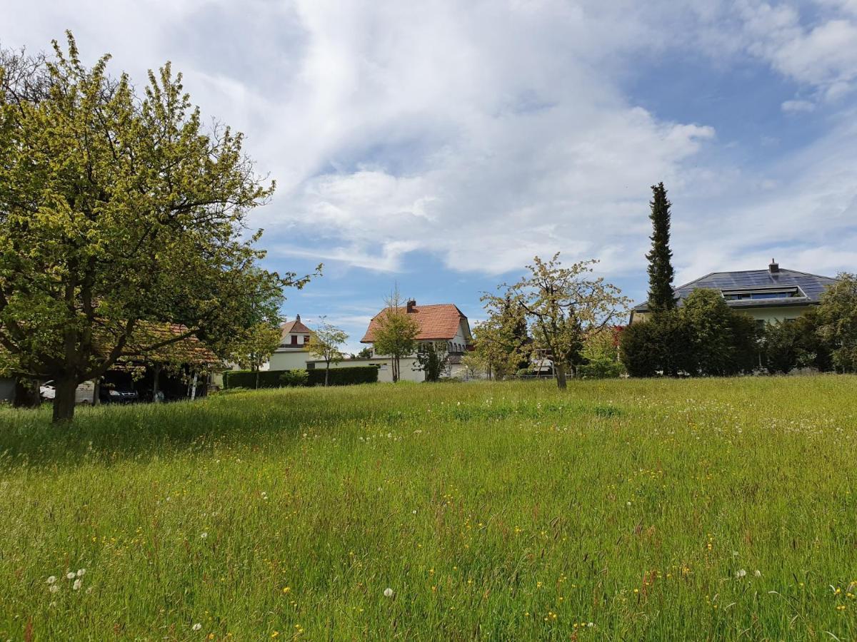 Bed N Bureau * Roggwil (Oberaargau)